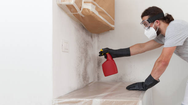 Professional Crawl Space Mold Remediation technician working in Bethel, NC