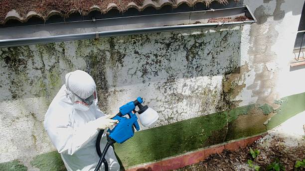 Top rated local Crawl Space Mold Remediation specialists in Bethel, NC